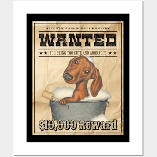 Funny Cute Doxie Dachshund Dog Wanted Poster Posters and Art